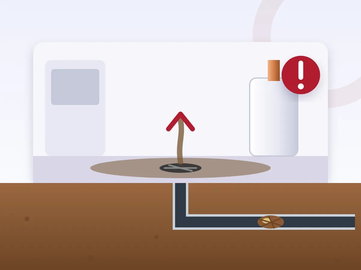 Illustration: Sewer & Drain Backup Service